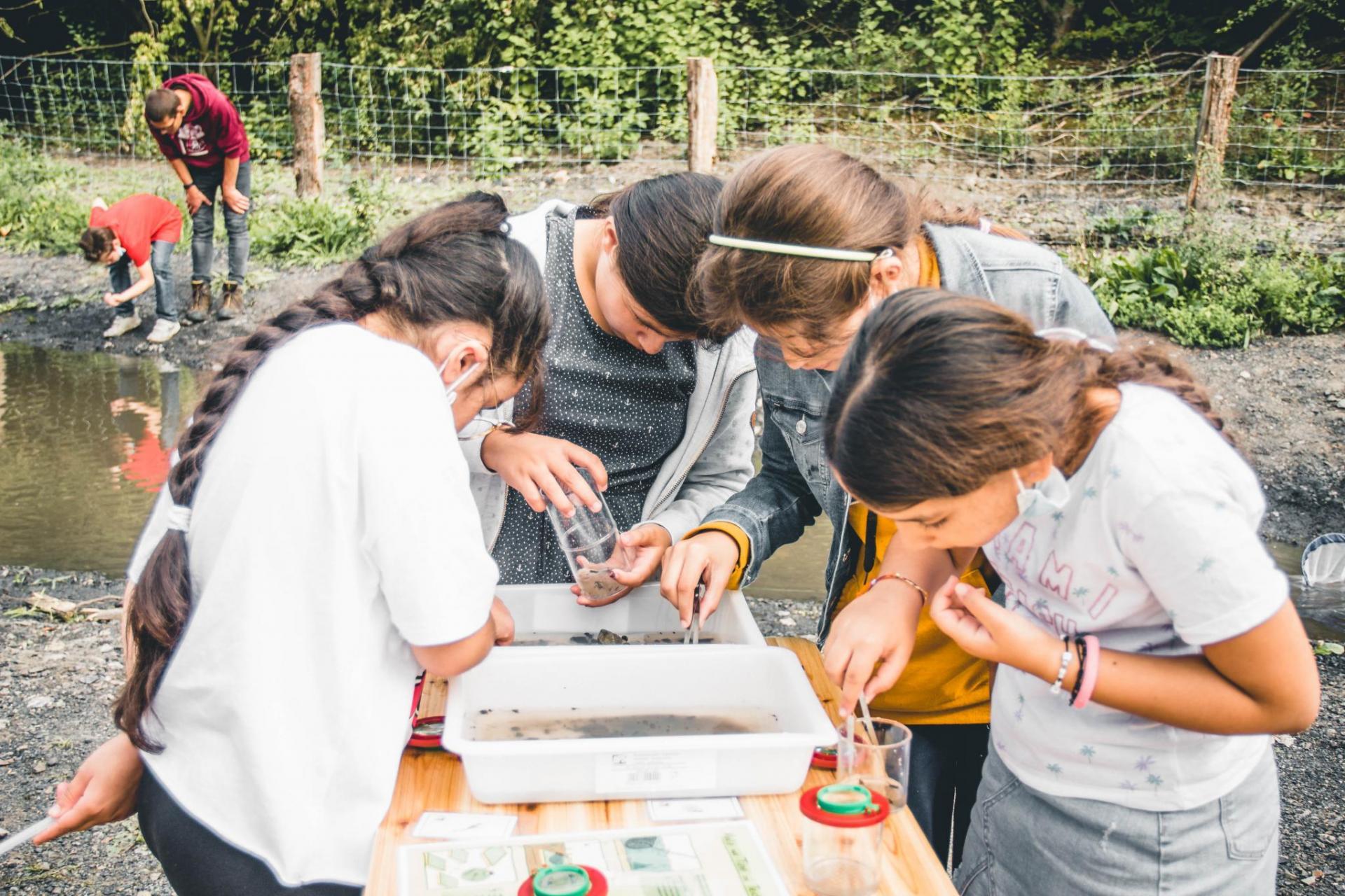 Kindergruppe erforscht Gewässerproben