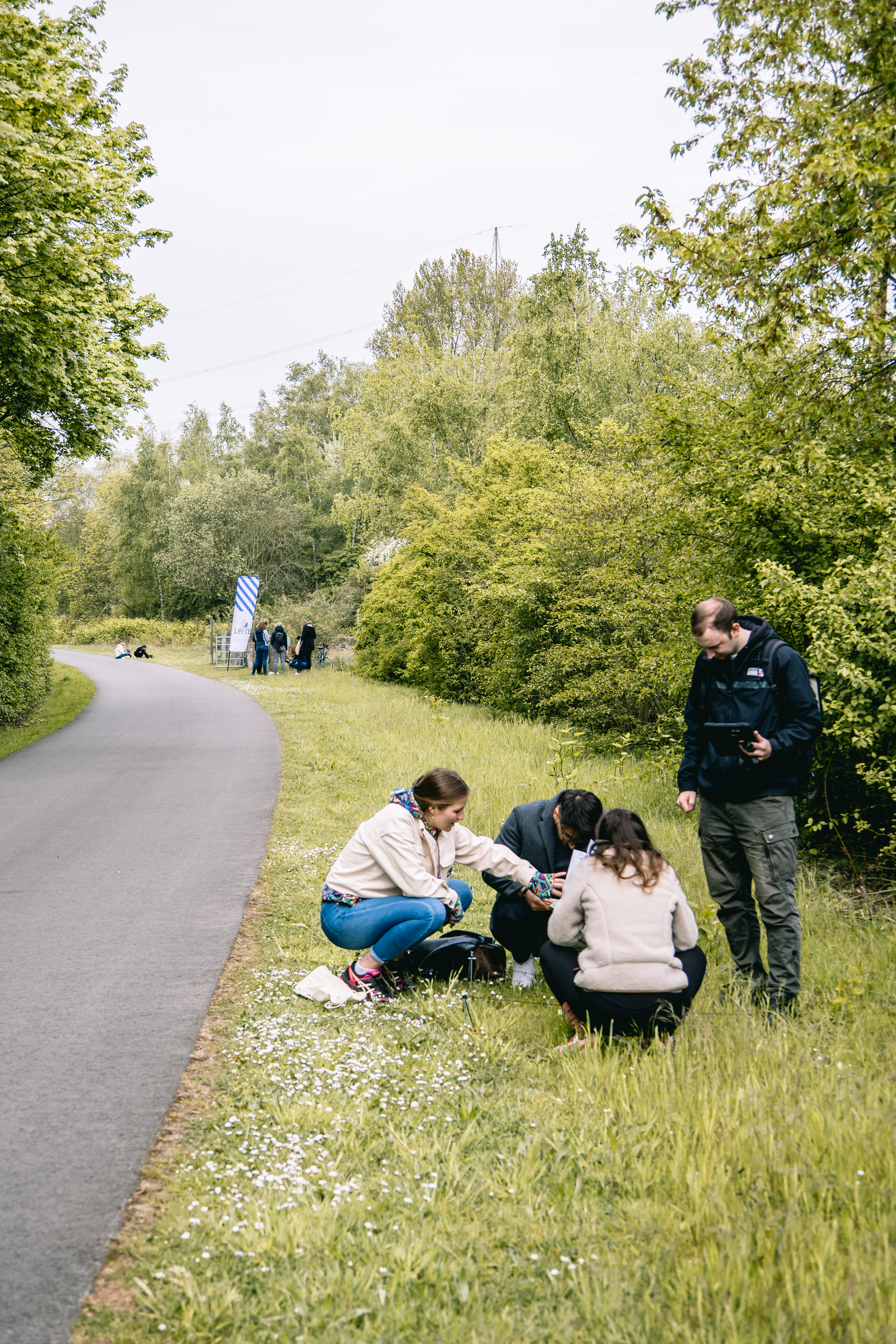 Studierende untersuchen am Wegrand Pflanzen